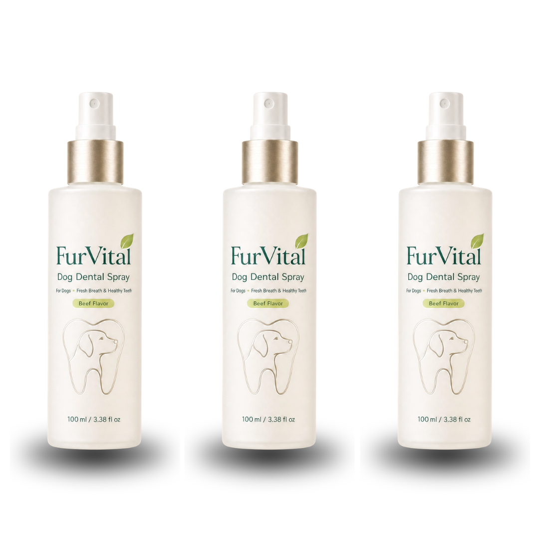 Furvital Dental Spray ™ - Eliminates root causes of bacteria that lead to tartar and bad breath